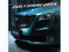 TPU-Vroeg lentegroen (glansend)